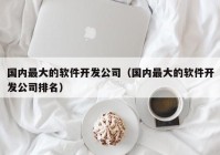 國內最大的軟件開發(fā)公司（國內最大的軟件開發(fā)公司排名）