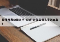 軟件開(kāi)發(fā)公司名字（軟件開(kāi)發(fā)公司名字怎么?。? /></a>
		</div>
		<div   id=