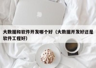 大數據和軟件開發(fā)哪個好（大數據開發(fā)好還是軟件工程好）