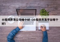 小程序開發(fā)公司哪個(gè)好（小程序開發(fā)平臺哪個(gè)好）