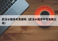武漢小程序開(kāi)發(fā)源碼(武漢小程序開(kāi)發(fā)有限公司)